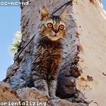 Mavis Schuster Profile Picture