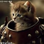 Constantin Buckridge Profile Picture