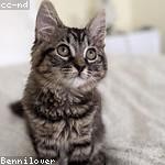 Clotilde Lehner Profile Picture