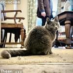 Therese Schuppe Profile Picture
